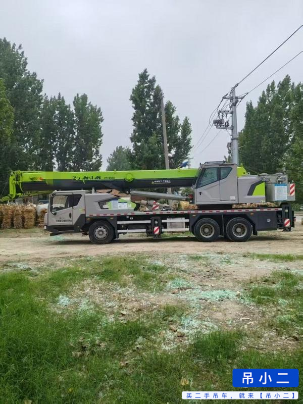 Acheter Grue Zoomlion 250HE d'occasion / 3