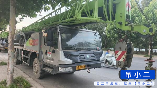 Acheter Grue Zoomlion 250A d'occasion / 4
