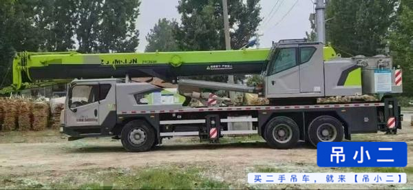 Acheter Grue Zoomlion 250HE d'occasion / 2
