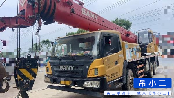 Acheter Sany STC200C5 D'occasion Grue