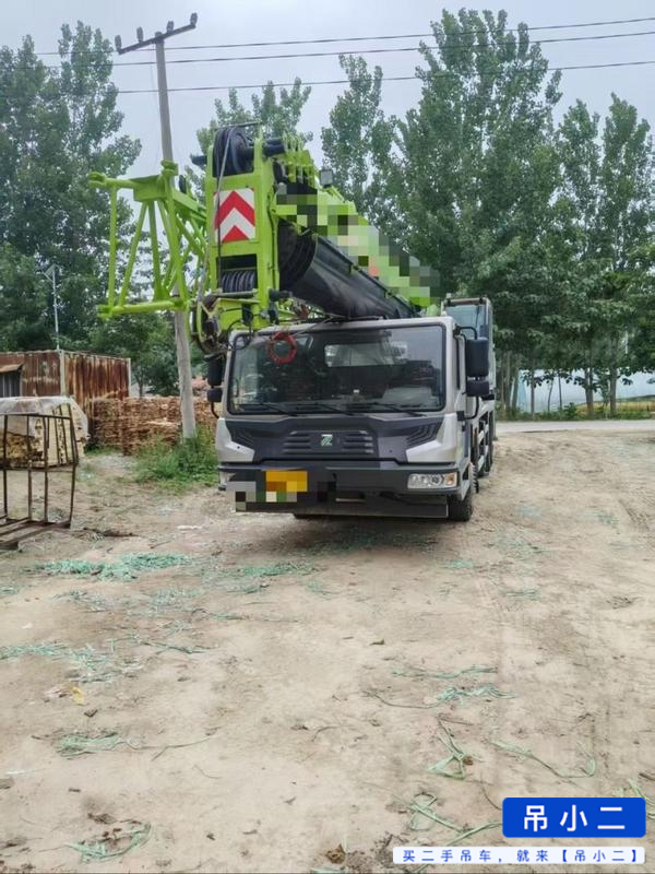Acheter Zoomlion 250h D'occasion Grue