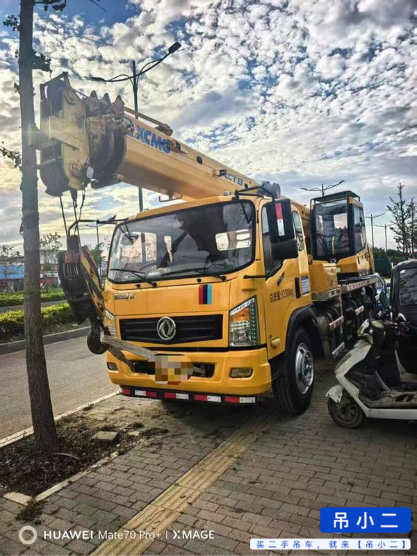 Acheter XCMG XCT8 D'occasion Grue