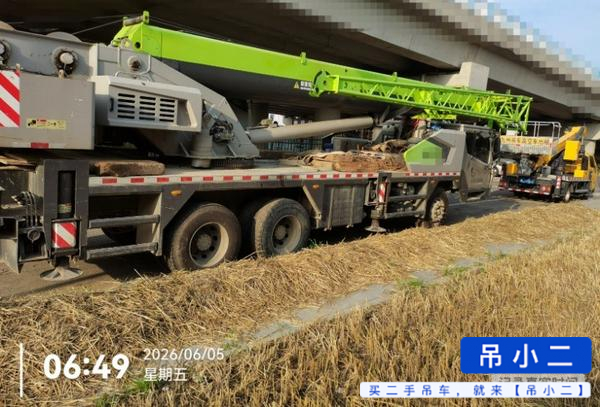 Acheter Zoomlion ZTC252E-1 D'occasion Grue