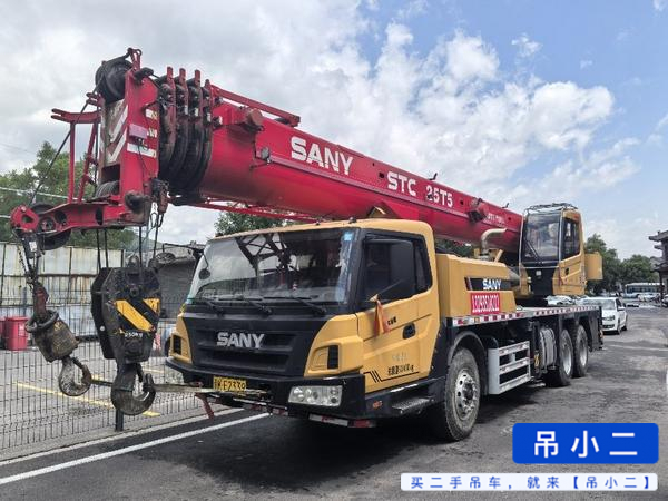 Acheter Sany 20T5 D'occasion Grue