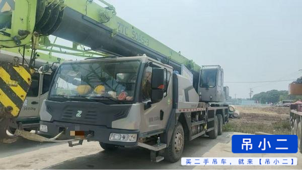 Acheter Grue Zoomlion 250A d'occasion / 2