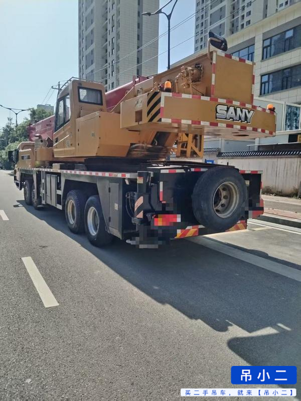 Acheter Grue Sany 250E d'occasion / 2