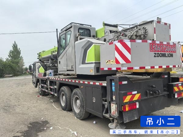 Compre Guindaste Zoomlion ZTC251VE562 Usado / 3