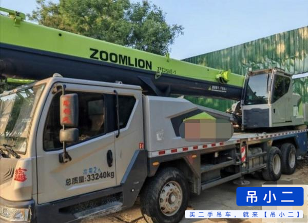 Comprar Zoomlion 25E Usado Guindaste