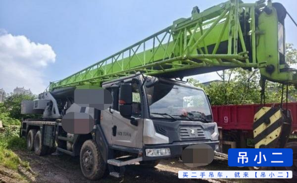 Comprar Zoomlion ZTC252E-1 Usado Guindaste