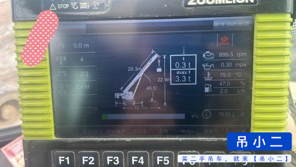 شراء رافعة Zoomlion 250V مستعملة / 2
