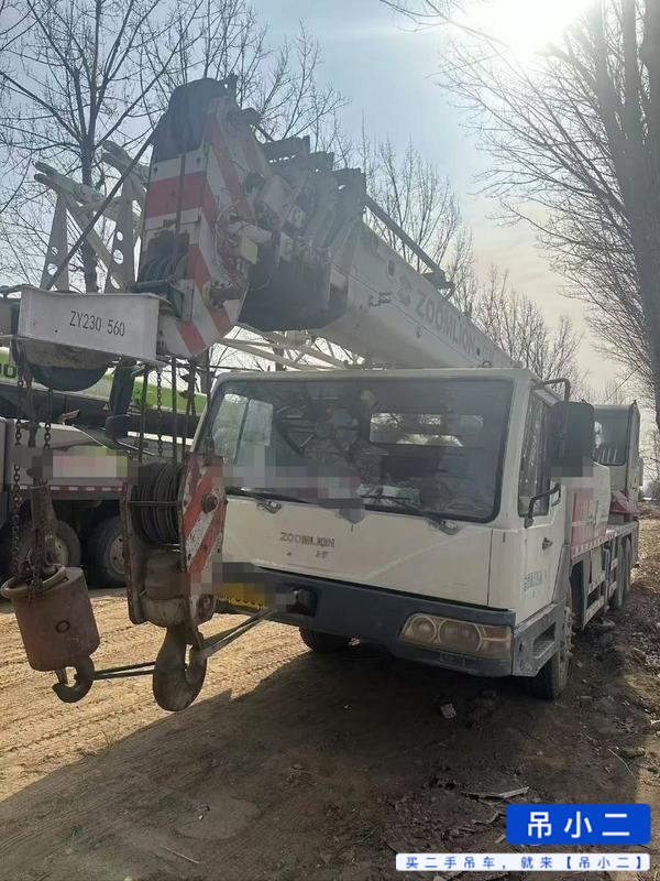 شراء رافعة Zoomlion 25V4 مستعملة / 5