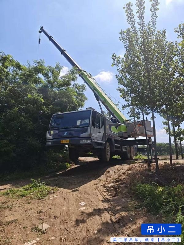 Acheter Grue Zoomlion ZTC201V551 d'occasion / 6