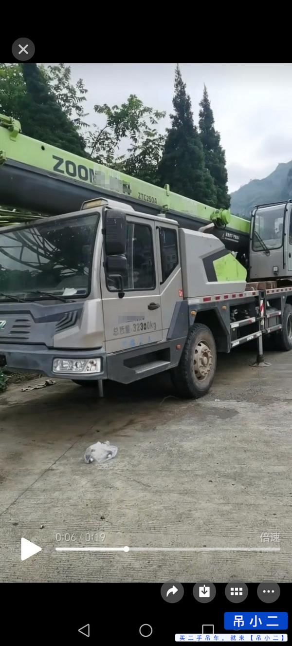 Comprar Zoomlion 250A Usado Grúa