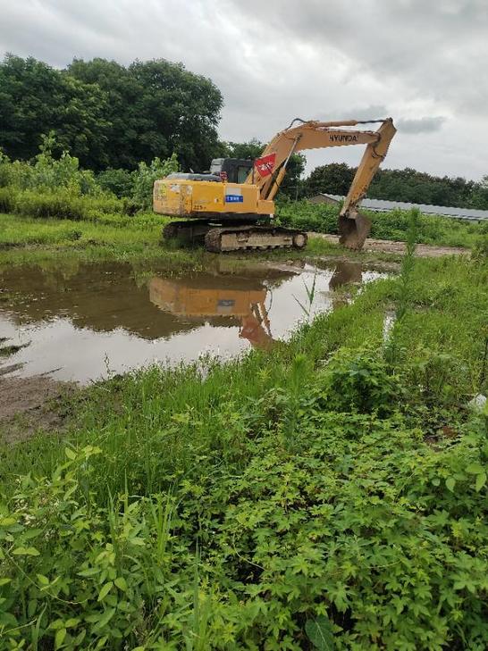 Buy Hyundai 215LC-7 Used Excavator / 1