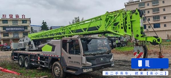 شراء رافعة Zoomlion 250A5 مستعملة / 2
