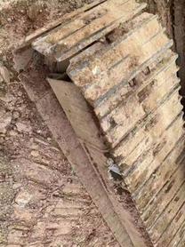 Buy Caterpillar CT18-7BS Used Excavator / 8 Buy Caterpillar CT18-7BS Used Excavator / 8