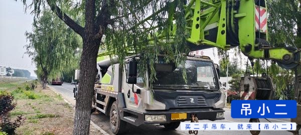 شراء رافعة Zoomlion 250v5 مستعملة / 3