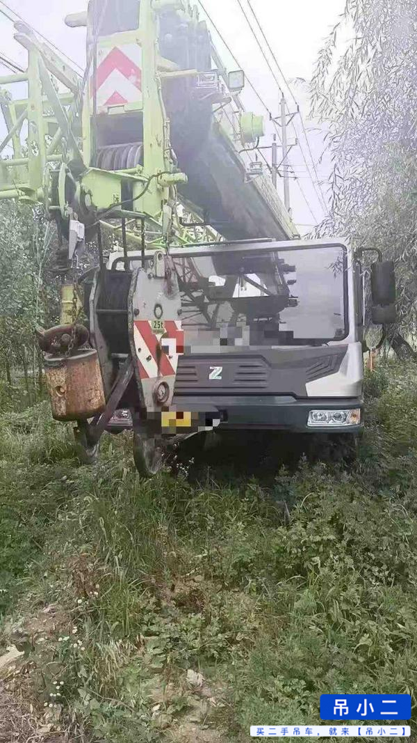 Comprar Zoomlion 250A5 Usado Grúa