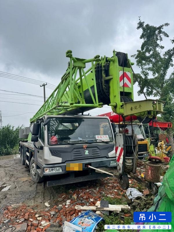 شراء Zoomlion 250HE مستعمل رافعة