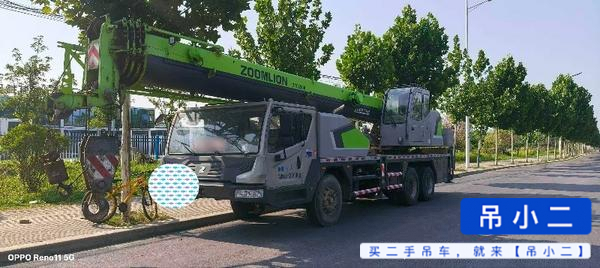 شراء Zoomlion 250A مستعمل رافعة