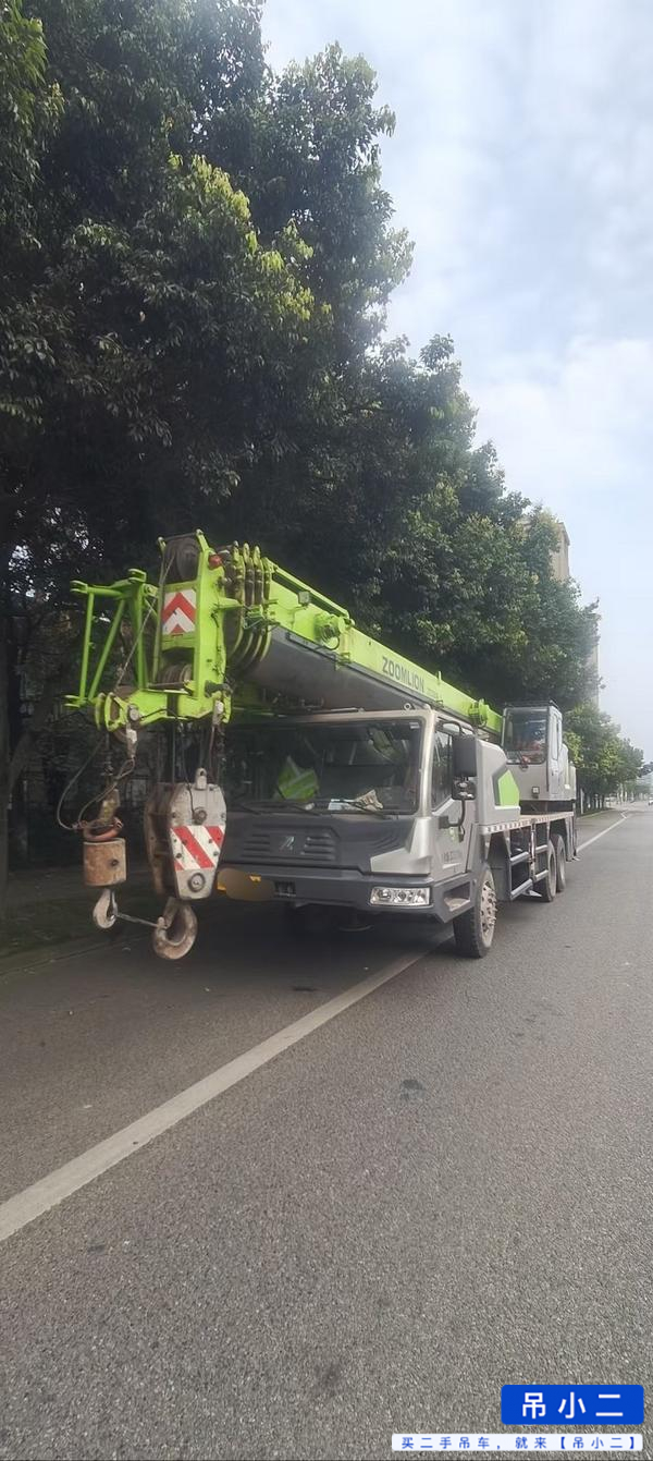 شراء رافعة Zoomlion 250A مستعملة / 2