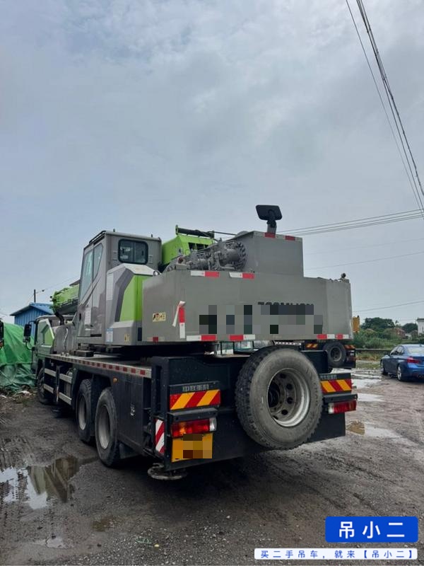 شراء رافعة Zoomlion 250HE مستعملة / 3