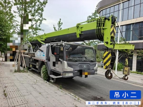 شراء رافعة Zoomlion 250A مستعملة / 4