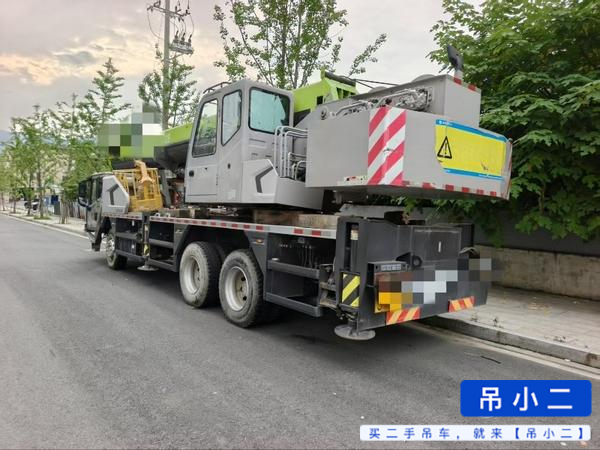 شراء Zoomlion 250A مستعمل رافعة
