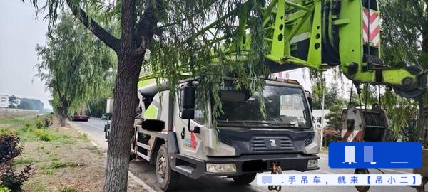 شراء Zoomlion 250v مستعمل رافعة