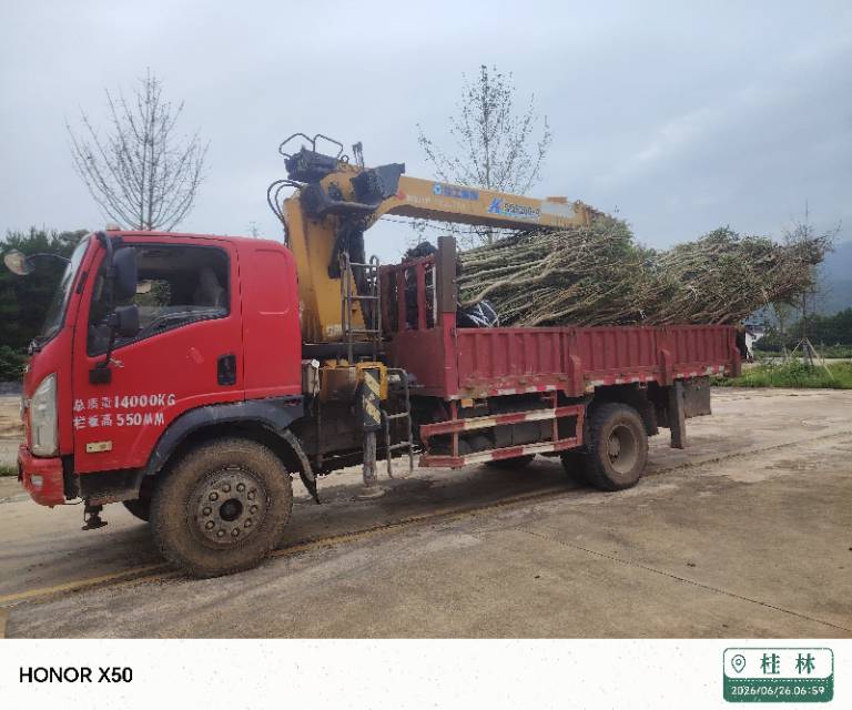 Buy XCMG Used Crane / 2 Buy XCMG Used Crane / 2