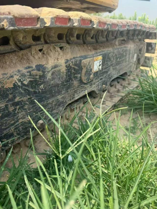 Buy Sany SY70C Pro Used Excavator / 7 Buy Sany SY70C Pro Used Excavator / 7