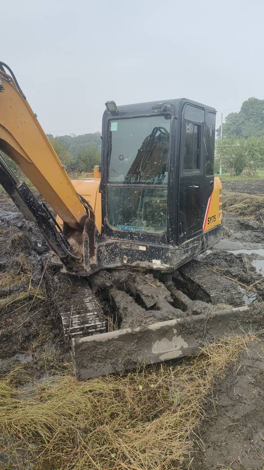 Buy Sany 55C-9 Used Excavator / 5