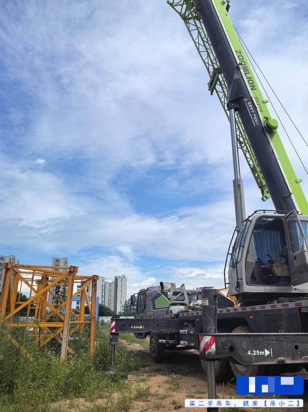 Buy Zoomlion 20V5 Used Crane