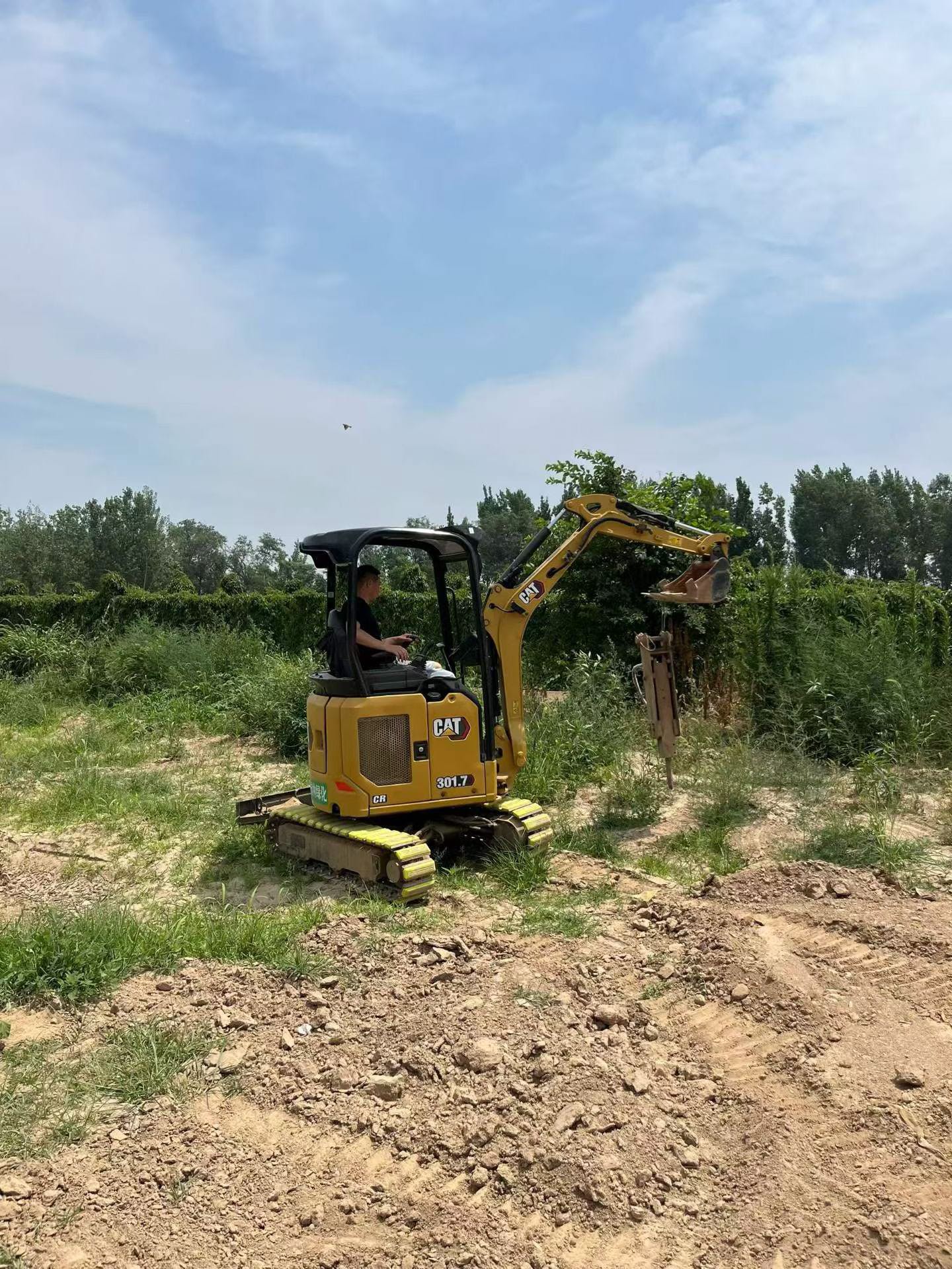 Buy Caterpillar 301.7CR Used Excavator / 2 Buy Caterpillar 301.7CR Used Excavator / 2
