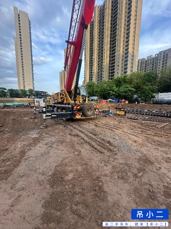 شراء رافعة Sany STC200T5 مستعملة / 3