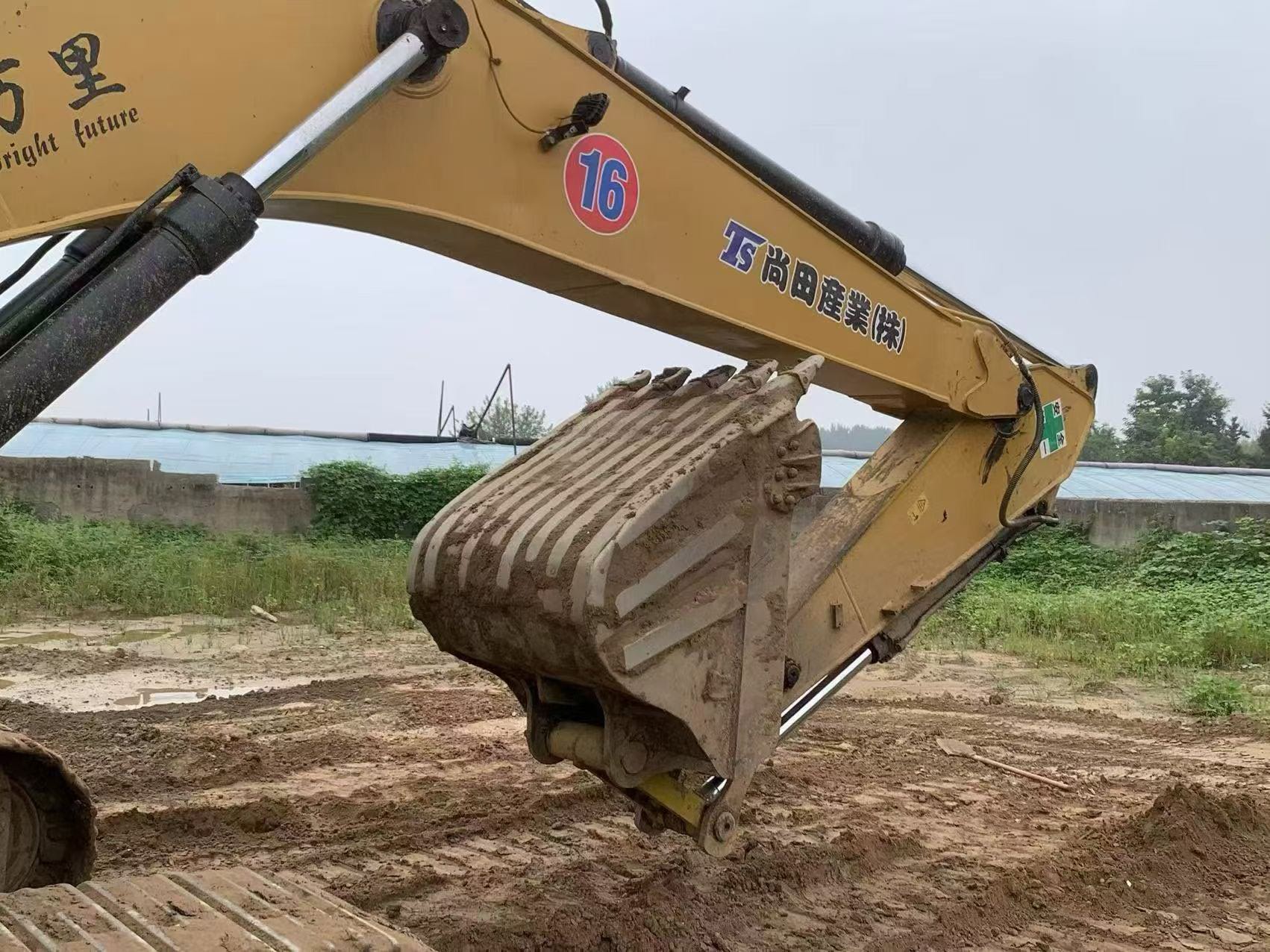 Buy Caterpillar 329D Used Excavator / 6