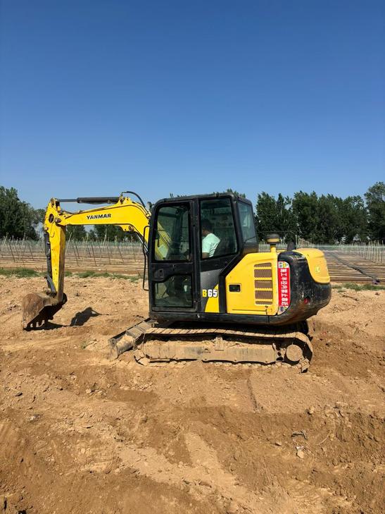 Buy Yanmar B65 Used Excavator / 1