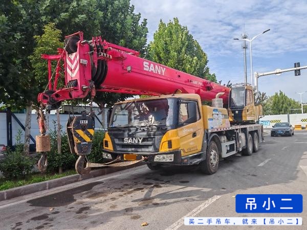 Comprar Sany STC250T Usado Grúa