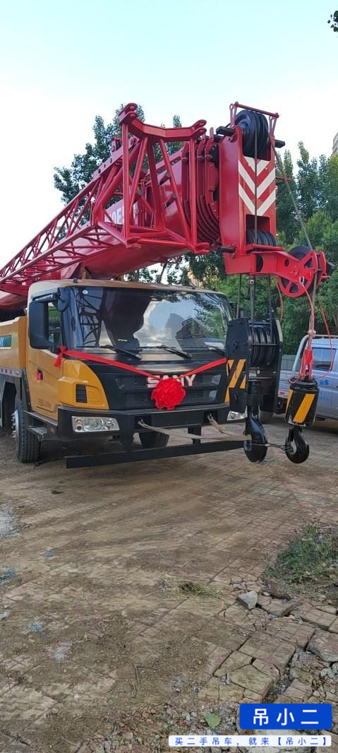 Comprar Sany STC250E5-1 Usado Grúa