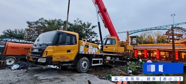 Comprar Sany STC250E5 Usado Grúa