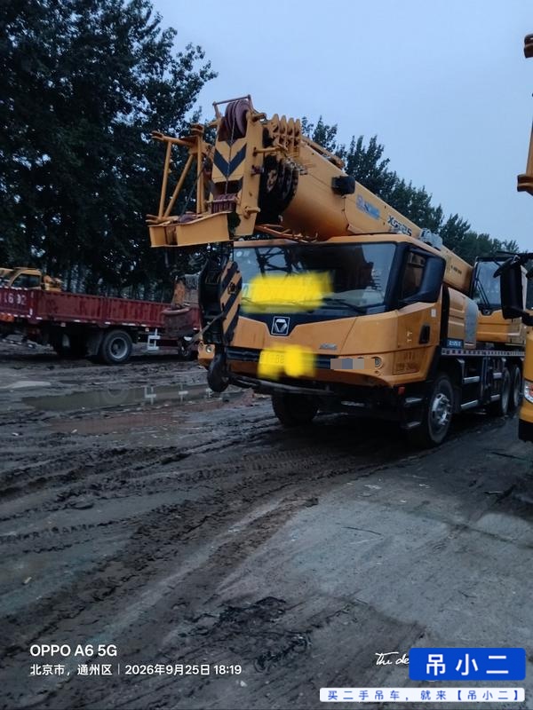 Comprar XCMG XCT20L5 Usado Grúa