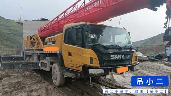 Comprar Sany STC250T Usado Grúa
