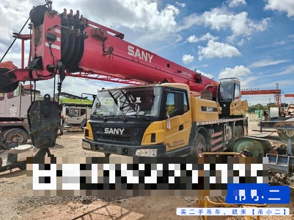 Comprar Sany STC250T Usado Grúa