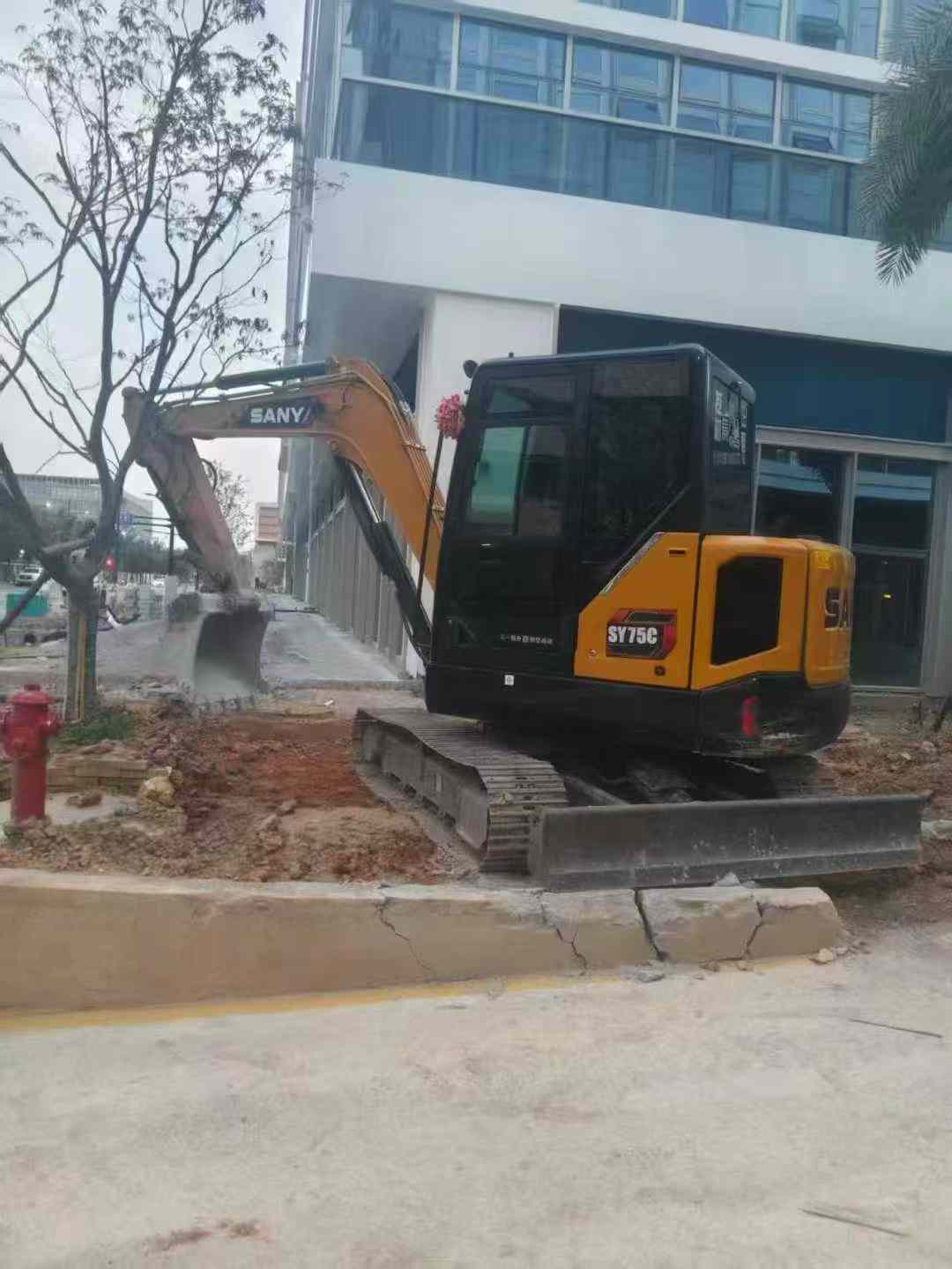 Used Sany SY55 Excavator 2024 Model