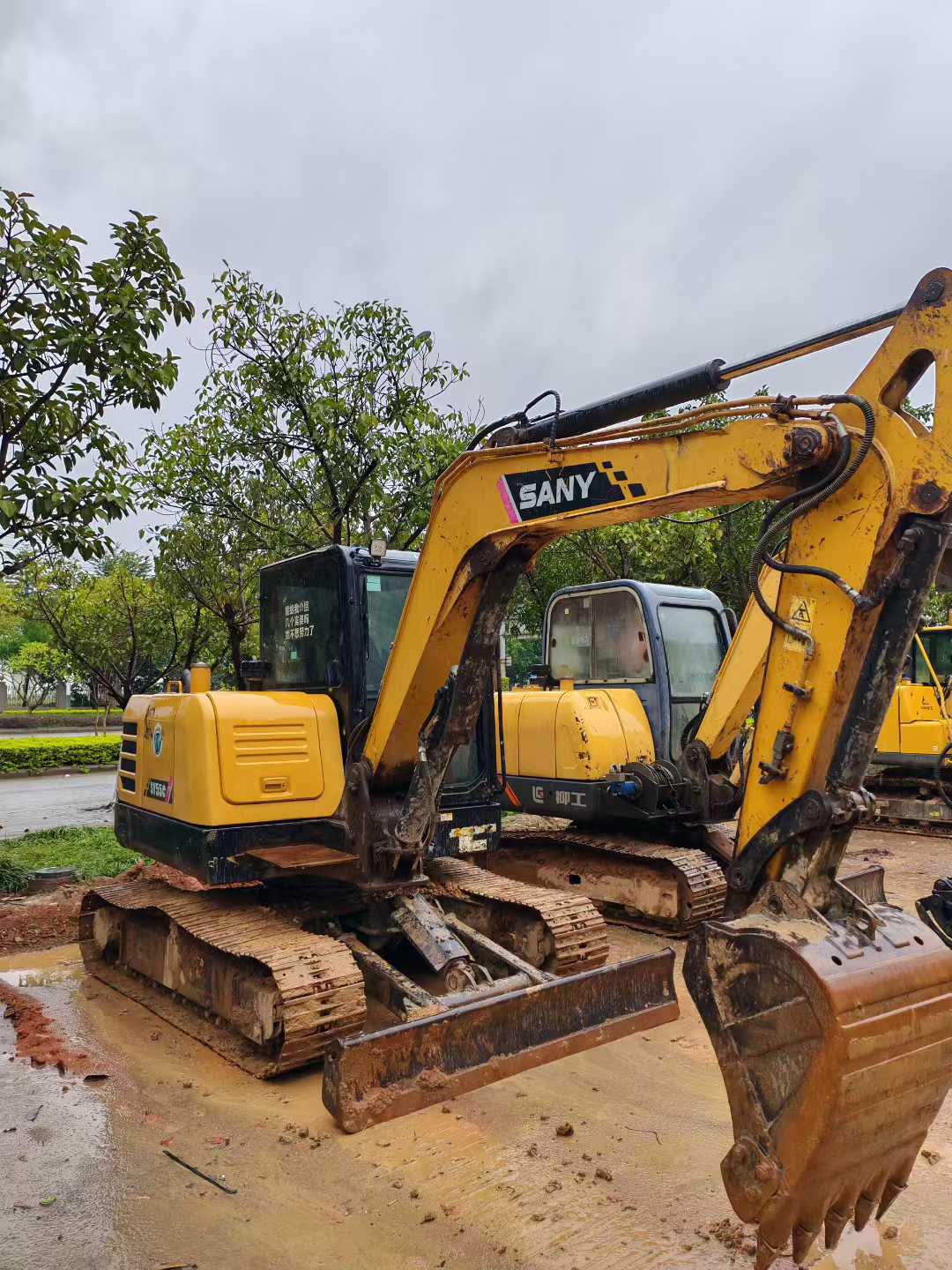 Used Sany SY55 Excavator 2021 Model