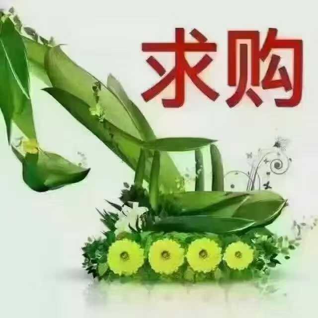 Used Doosan  DL507-9C Excavator 2016 Model