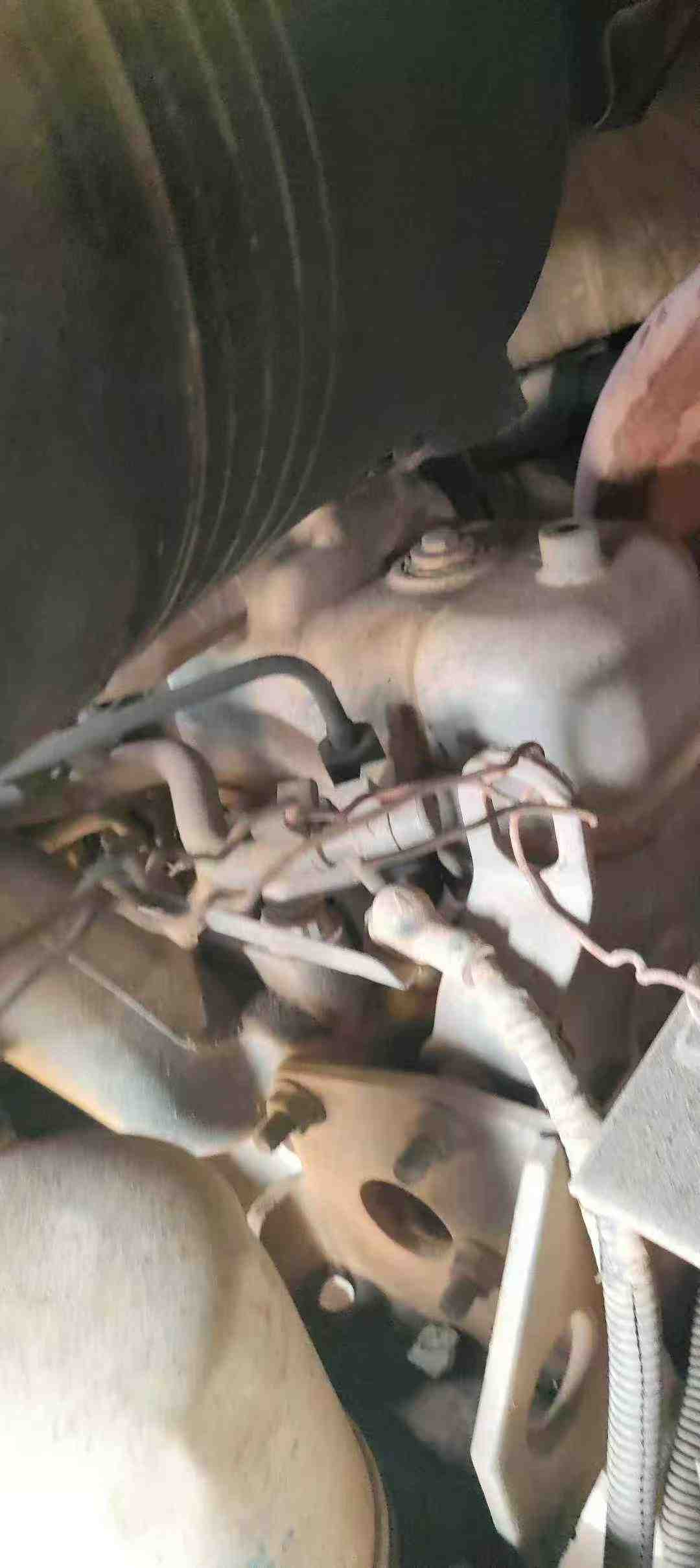 Used Sany SY55 Excavator 2016 Model / 6