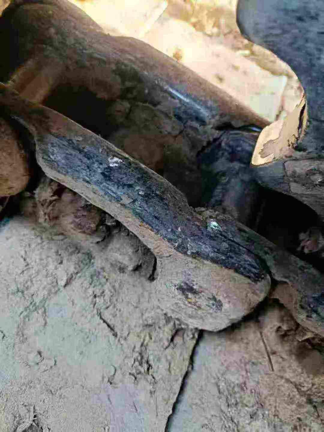 Used Sany SY65W Excavator 2011 Model / 3