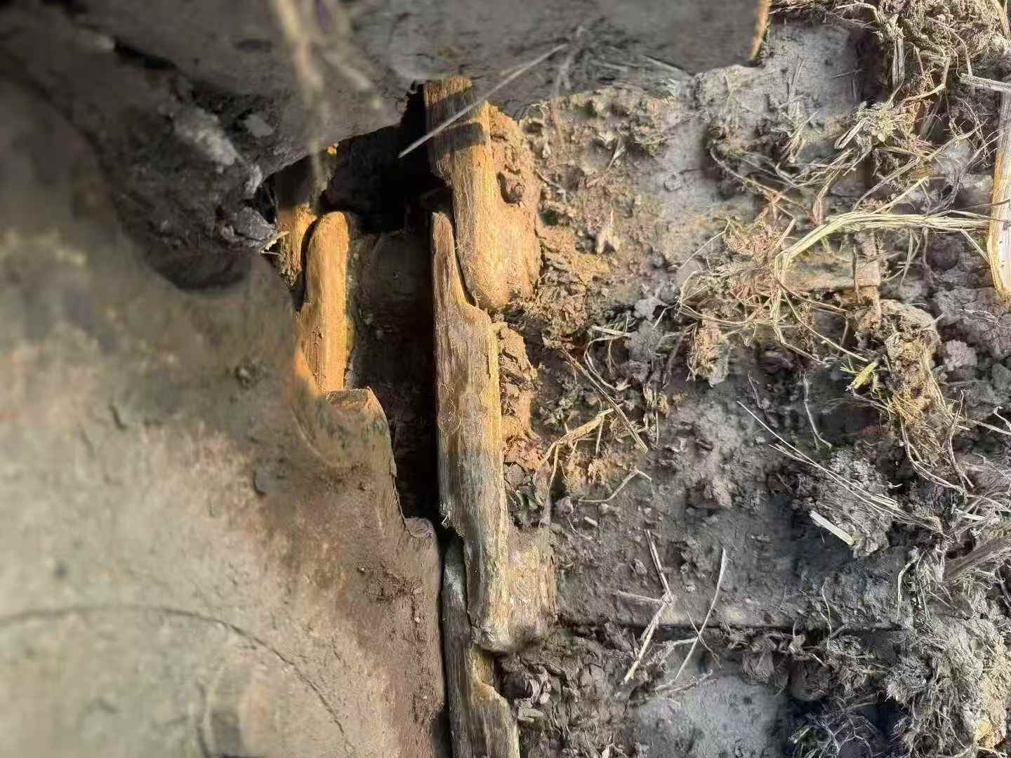 Used XCMG XE75WD Excavator 2019 Model / 5