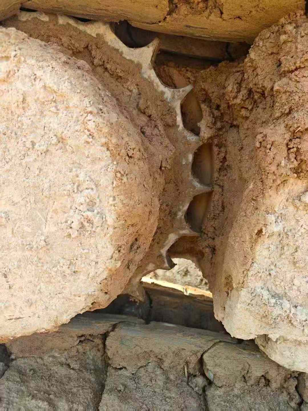 Used Sany SY245H Excavator 2019 Model / 8